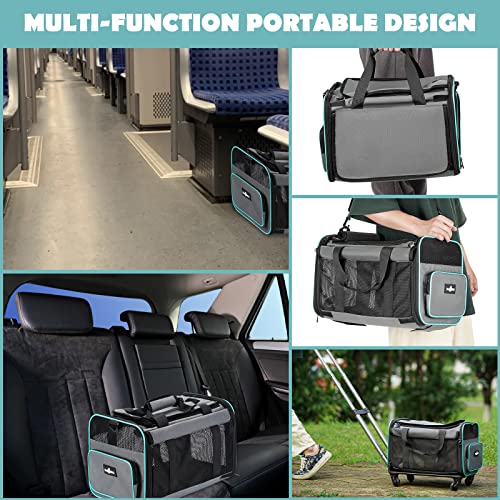 Foldable Rolling Pet Carrier for Small Cats