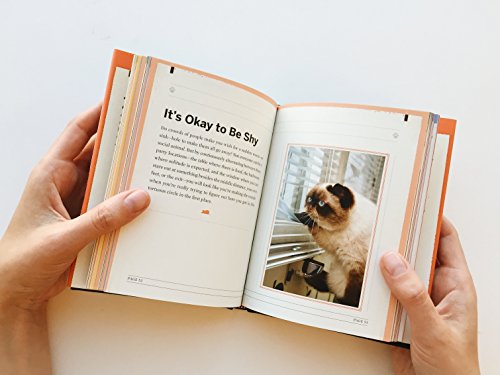 Funny Cat Book: Advice from Cats for Cat Lovers