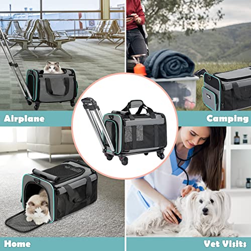 Foldable Rolling Pet Carrier for Small Cats