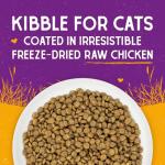 Stella & Chewy's Premium Raw Coated Cat Food