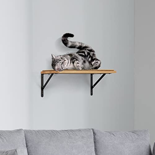 Cat Climbing Shelves with Scratching Mat and Hammock