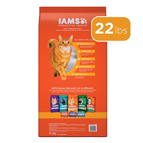 IAMS Adult Healthy Cat Food with Chicken Kibble