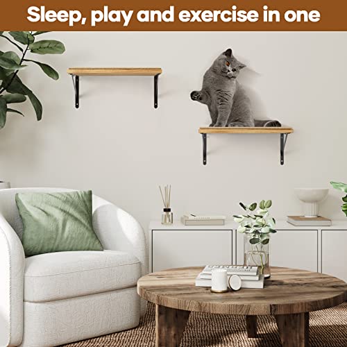 Cat Climbing Shelves with Scratching Mat and Hammock