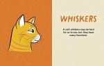 Illustrated Guide: Unveiling Kitty Language for Cats