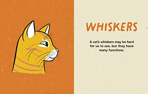 Illustrated Guide: Unveiling Kitty Language for Cats