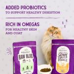 Stella & Chewy's Premium Raw Coated Cat Food