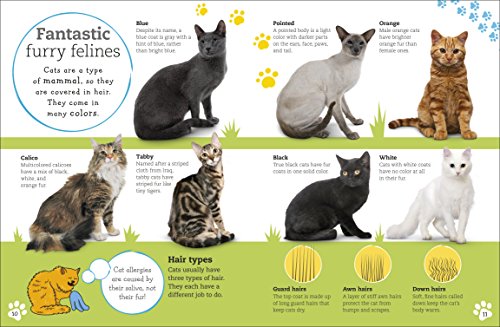 Complete Feline Guide: Cats and Kittens (Pet Edition)