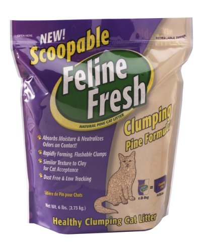 Natural Pine Cat Litter for Easy Clumping