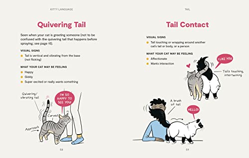 Illustrated Guide: Unveiling Kitty Language for Cats