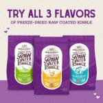 Stella & Chewy's Premium Raw Coated Cat Food