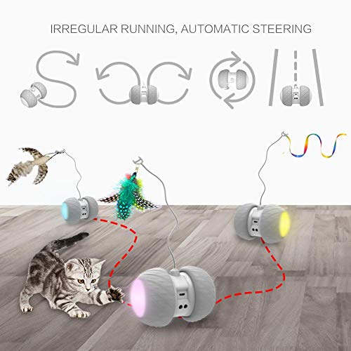 PetDroid Robotic Cat Toy - Interactive Feather/Bird/Mouse