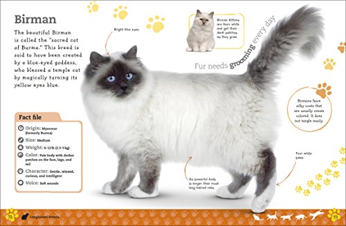 Complete Feline Guide: Cats and Kittens (Pet Edition)