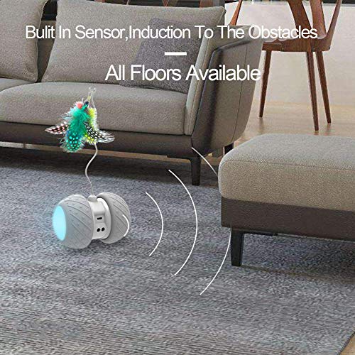 PetDroid Robotic Cat Toy - Interactive Feather/Bird/Mouse