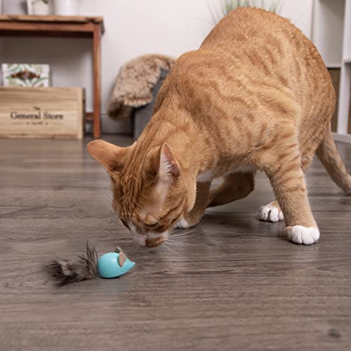 SmartyKat Sneaky Slider Rolling Interactive Cat Toy - Blue