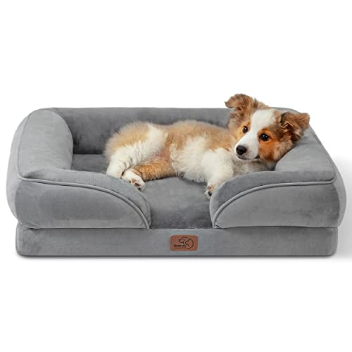 Orthopedic Cat Bed - Foam Sofa with Washable Cover