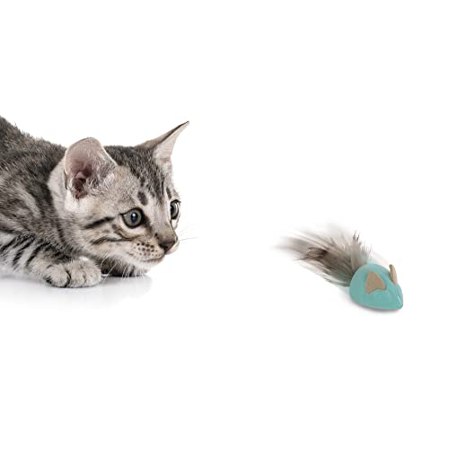 SmartyKat Sneaky Slider Rolling Interactive Cat Toy - Blue