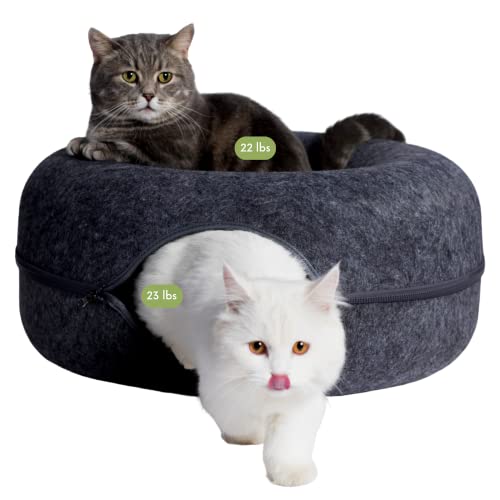 Peekaboo Cat Cave for Multiple Large Cats