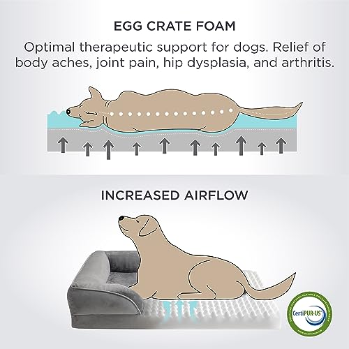 Orthopedic Cat Bed - Foam Sofa with Washable Cover