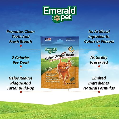 Flavorful Dental Cat Treats: Clean, Freshen, Reduce!