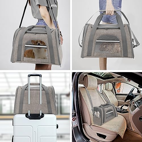 Airline Approved Pet Travel Carrier for Cats and Dogs