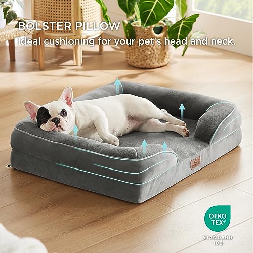 Orthopedic Cat Bed - Foam Sofa with Washable Cover