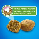 Purina DentaLife Cat Dental Treats - Savory Salmon, 19 oz