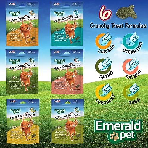 Flavorful Dental Cat Treats: Clean, Freshen, Reduce!