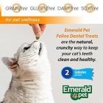 Flavorful Dental Cat Treats: Clean, Freshen, Reduce!