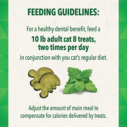 FELINE GREENIES Cat Treats - Catnip Flavor 21 oz
