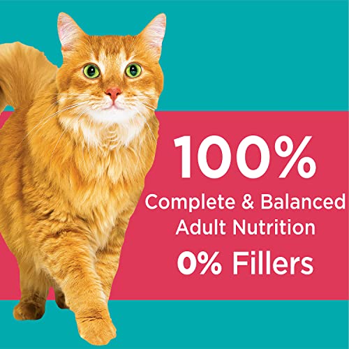 Iams Indoor Weight & Hairball Care Cat Food - Salmon (7 lb)