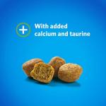 Purina DentaLife Cat Dental Treats - Savory Salmon, 19 oz