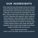 Instinct Raw Boost Chicken Cat Food, 10lb Bag