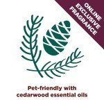 Arm & Hammer Forever Fresh Cedarwood Clumping Cat Litter