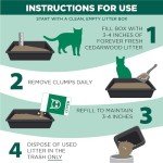 Arm & Hammer Forever Fresh Cedarwood Clumping Cat Litter