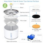 Stainless Steel Cat Water Fountain - 81oz/2.4L
