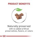 Royal Canin Kitten Dry Cat Food, 14 lb - Cats