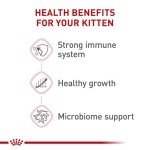 Royal Canin Kitten Dry Cat Food, 14 lb - Cats