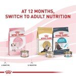 Royal Canin Kitten Dry Cat Food, 14 lb - Cats