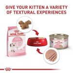 Royal Canin Kitten Dry Cat Food, 14 lb - Cats