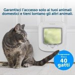 PetSafe Microchip Cat Flap: Easy, Exclusive Entry