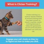 Cat Training Clicker and Target Stick Set