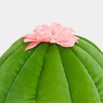 VETRESKA Cute Cactus Cat and Dog Bed