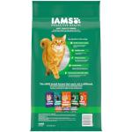 IAMS Healthy Senior Chicken Cat Kibble, 7 lb