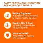 IAMS Indoor Pate Cat Food Variety Pack, 24 Trays