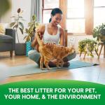 Fresh News Recycled Paper, Original Pellet Cat Litter, 25 lb.