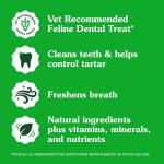 FELINE GREENIES Cat Treats - Catnip Flavor 21 oz