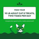 FELINE GREENIES Cat Treats - Catnip Flavor 21 oz