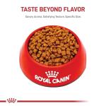 Royal Canin Kitten Dry Cat Food, 14 lb - Cats