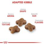 Royal Canin Kitten Dry Cat Food, 14 lb - Cats
