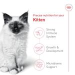 Royal Canin Kitten Dry Cat Food, 14 lb - Cats
